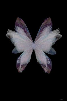 a white butterfly flying through the air on a black background