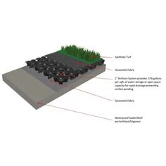 an image of a garden with grass growing out of the ground and instructions on how to plant it