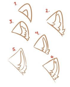 how to draw a bird's head step by step instructions for children and adults