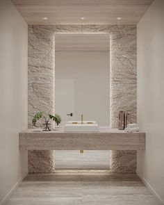 a bathroom with a sink, mirror and plant on the counter in front of it