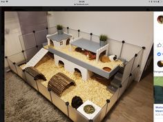 an image of a pet house made out of cardboard