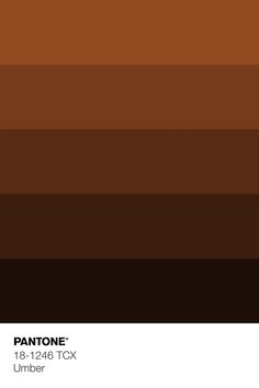 pantone's chocolate brown color scheme