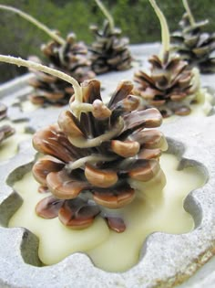 some pine cones sitting on top of a white cake covered in frosted icing