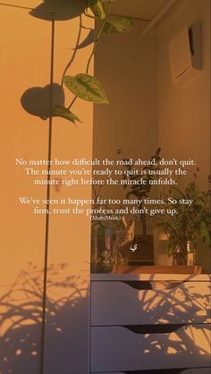 there is a plant that has been placed in the corner of a room with a quote on it