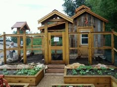 an outdoor chicken coop with several plants in it