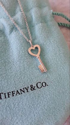 Colar Tiffany E Co, Price Increase, Jewelry Accessories Ideas, Dope Jewelry, Classy Jewelry, Jewelry Lookbook, Tiffany And Co, Girly Jewelry, Dream Jewelry