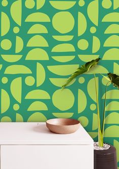 a potted plant sitting on top of a white table next to a green wall