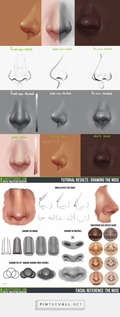 an image of different types of nose shapes and their corresponding features on the webpage