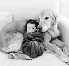 a dog and a baby sitting on a couch