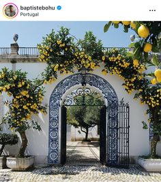 an archway with lemon trees and potted plants on either side is decorated with blue and white tiles