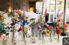 several vases filled with different types of flowers on a table at a wedding reception