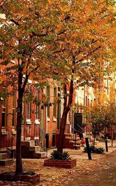 an autumn scene with leaves on the ground and trees in the foreground, along with brick buildings