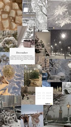 the collage shows many different scenes in winter