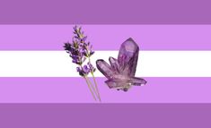 two purple flowers are next to each other on a purple and white striped wallpaper