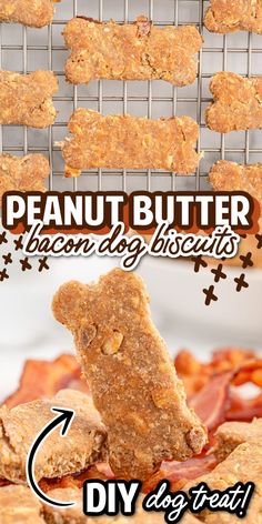 Bacon Dog Treats Halloween Dog Treats Recipes, Dog Treats With Peanut Butter, Homade Dog Treats, Dog Treat Recipes Easy, Treats With Peanut Butter, Bacon Dog Treats, Polish Cookies, Savory Bacon, Pet Recipes