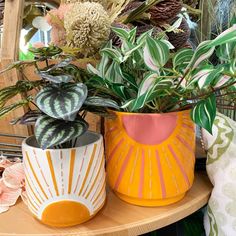 two vases with plants in them sitting on a table next to other decorative items