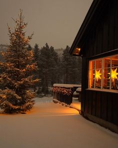 a christmas tree is lit up in front of a cabin