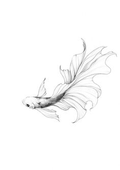 a black and white drawing of a fish