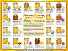 a poster with honey varieties on it