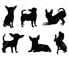 the silhouettes of dogs are shown in different poses