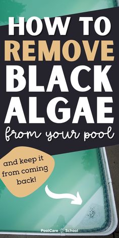 a sign that says how to remove black algae from your pool and keep it from coming back