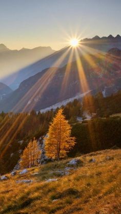 the sun shines brightly over mountains and trees