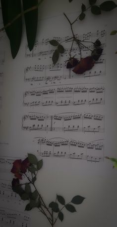 sheet music with roses and leaves on it in the foreground, against a white background