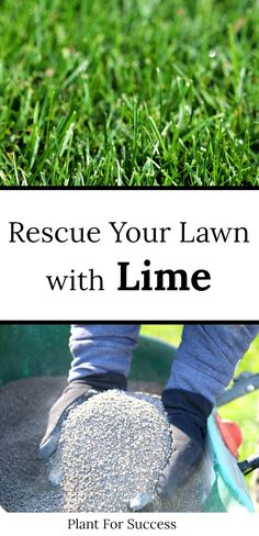 a lawn with the words rescue your lawn with lime on it and an image of someone's feet in a wheelbarrow