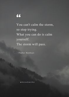 a black and white photo with the quote you can't calm the storm, so stop trying what you can do is calm yourself