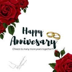 happy anniversary card with two gold rings and red roses on white background, for husband or wife