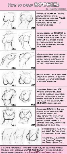 Drawing Female Body, Anatomy Tutorial, Human Anatomy Drawing, Human Anatomy Art, Anatomy Sketches, 캐릭터 드로잉, Poses References