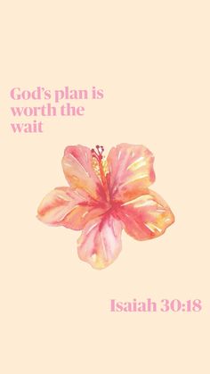 a pink flower with the words god's plan is worth the wait on it