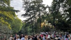 a large group of people sitting at picnic tables in the middle of a wooded area