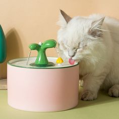 a white cat drinking water from a green faucet