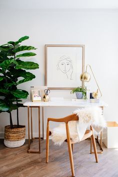 a white desk with a plant and pictures on it