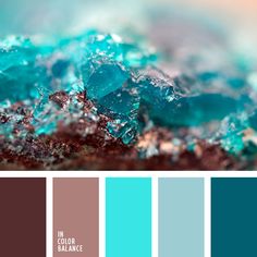 a color palette with different shades of blue and brown