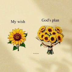 two sunflowers with the words my wish and god's plan written on them