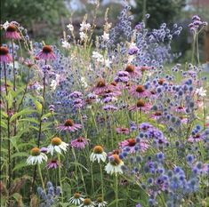 many different types of flowers in a garden