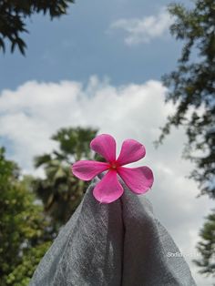 a pink flower sitting on top of a white cloth