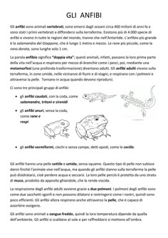 an article in spanish describing the different types of animals and their habitats, including lizards