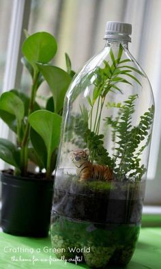 a glass bottle filled with plants on top of a green table next to a potted plant