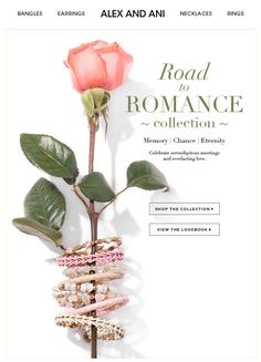 a rose is shown on the front page of alex and ani's website