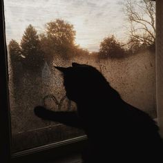 a black cat sitting on top of a window sill next to a rain covered window