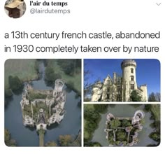 an aerial view of a castle surrounded by trees and water