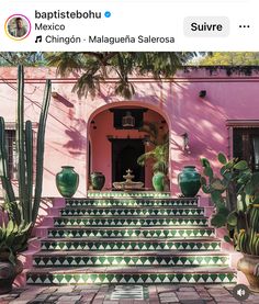 a pink house with green planters and potted cacti on the steps