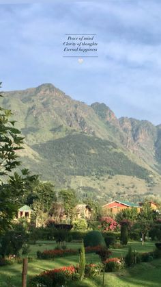 the mountains are in the distance with trees and bushes around them, as well as flowers