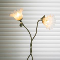 two flowers that are next to each other in front of a window with white blinds