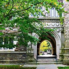 an archway in the middle of a stone building with trees growing out of it's sides