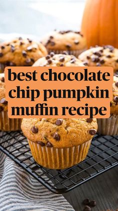 chocolate chip pumpkin muffins on a cooling rack with text overlay reading best chocolate chip pumpkin muffin recipe