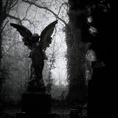 an angel statue in the middle of a cemetery with trees and leaves around it, on a foggy day